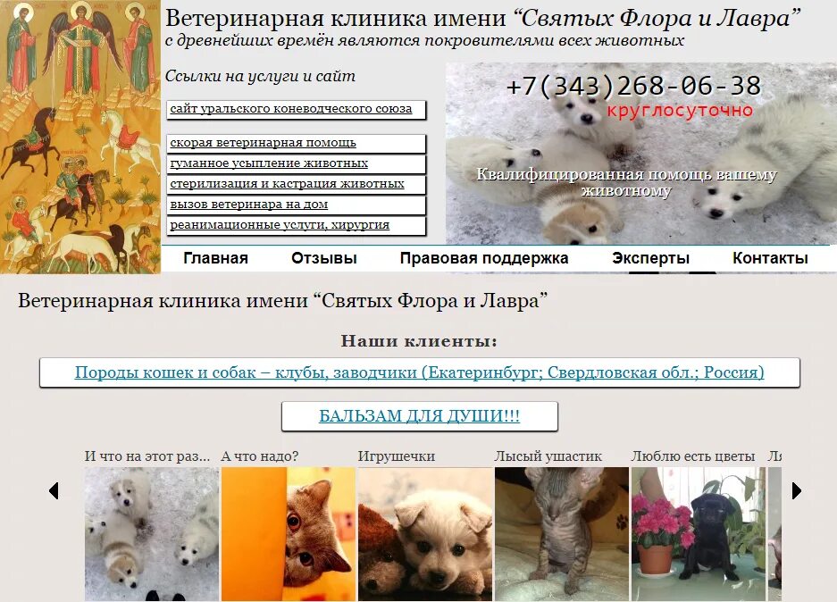 вызов ветеринарного врача на дом. вызвать ветеринара на дом. вызов ветеринара на дом екатеринбург. ветеринарной клиники оказанные услуги. вызов ветеринара на дом москва.