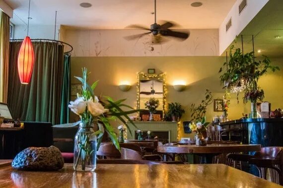 Botanika Restaurants & Cafes St.Petersburg