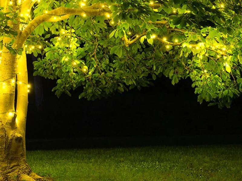 String tree. Светильники в лесу на деревьях. luck&amp;light дерево. string lights outdoor tree. green string lights for tree.