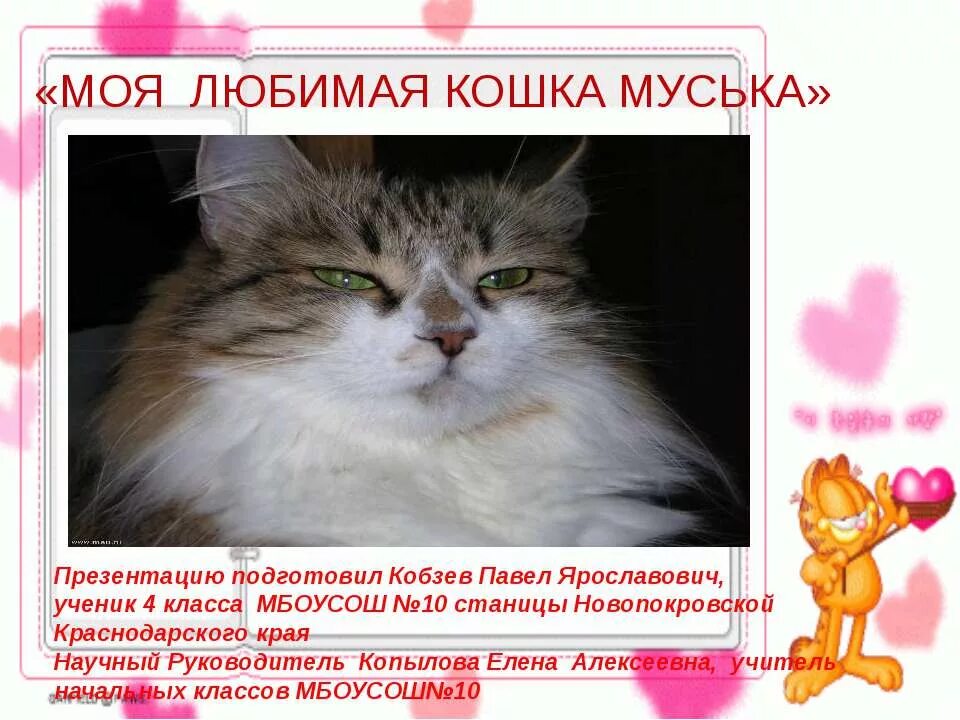 Сообщение мое любимое животное. Презентация моя любимая кошка. моя любимая кошка. мое любимое животное. сочинение на тему моя кошка.