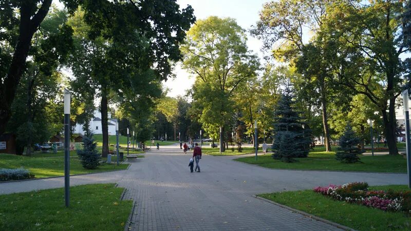 Парк красный партизан. Профессора и. Парк красный партизан. Парк красный партизан. Парк красных партизан большая мартыновка.