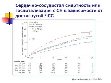 Сердечная смертность