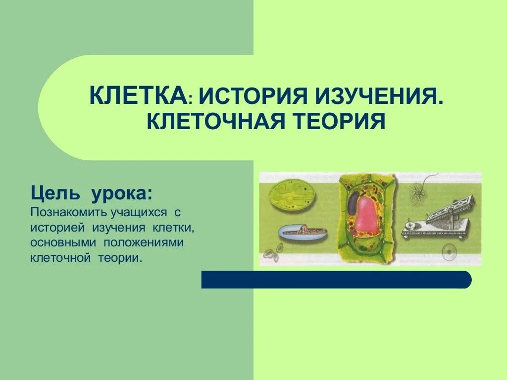 История и методы изучения клетки. Клеточная теория методы изучения клетки. Клетка история изучения клеточная теория тест. Клетка история изучения клеточная теория тест. Ученый исследует клетку.