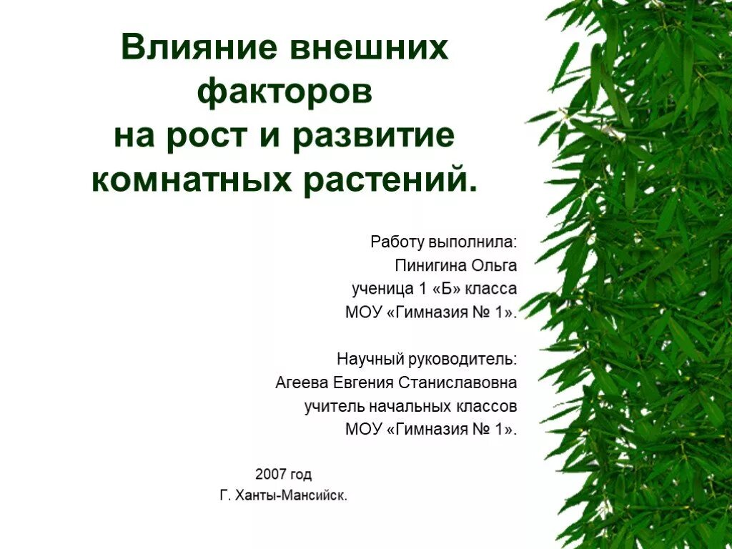 Влияние внешних факторов на рост растений. Рост и развитие комнатных растений. Факторы роста и развития растений. Факторы влияющие на рост растений.