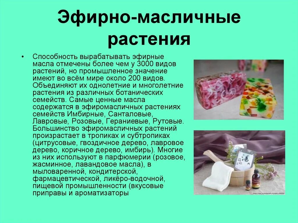 Окр мир 2 класс "Дикорастущие и культурные" Какие ответы к рабочей тетради?