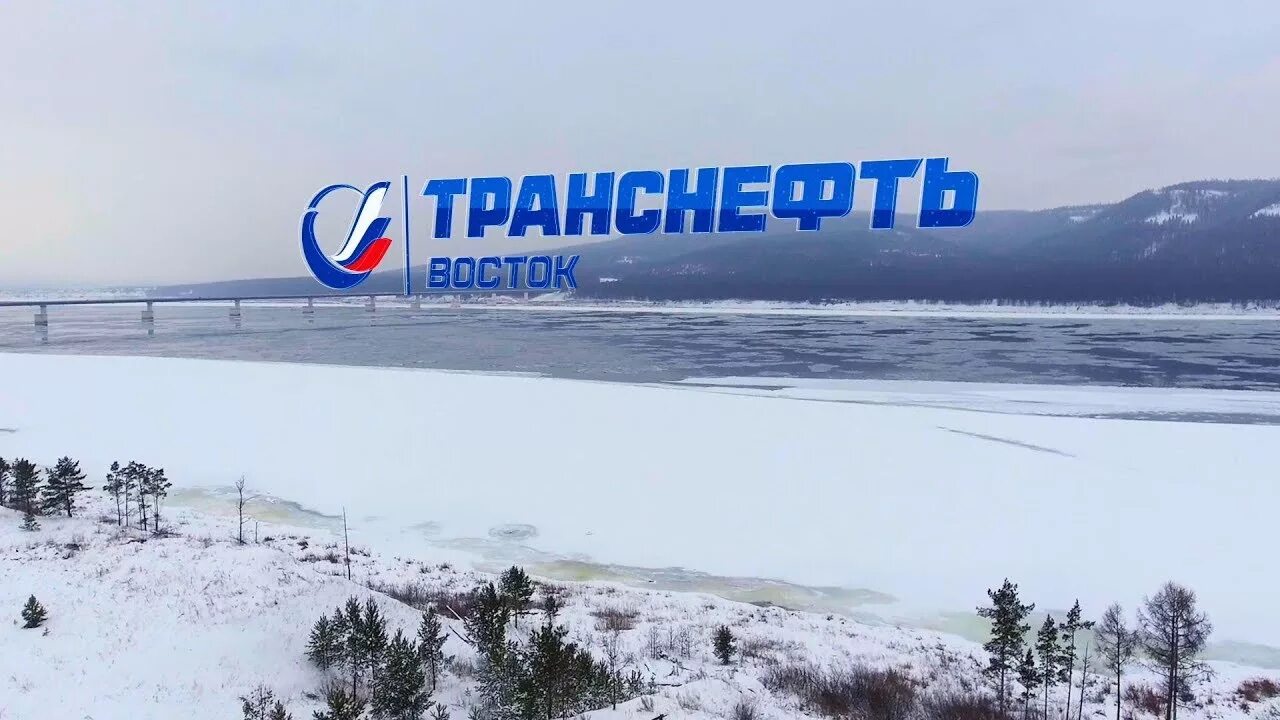 Див транснефть. Транснефть дальний восток логотип. логотипы компании транснефть. транснефть восток логотип. транснефть сибирь логотип.