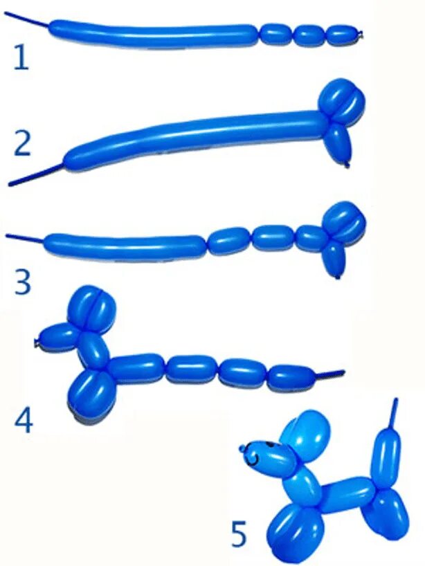 Воздушные шары инструкции. Как сделать собачку из шарика колбаски. Как делать собаку из длинных шариков. Как сделать собачку из длинного шарика. Как делать собачку из шарика длинного поэтапно.
