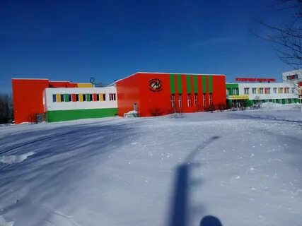 Международный колледж сервиса