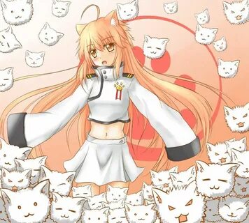 Kitsune записи приватов