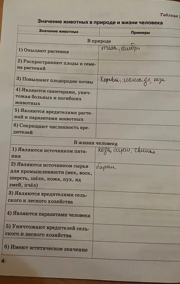 Таблица значения животных. Значение животных в природе и жизни человека таблица 8 класс биология. значение животных таблица. значение животных в природе и жизни человека таблица. значение животных в природе.