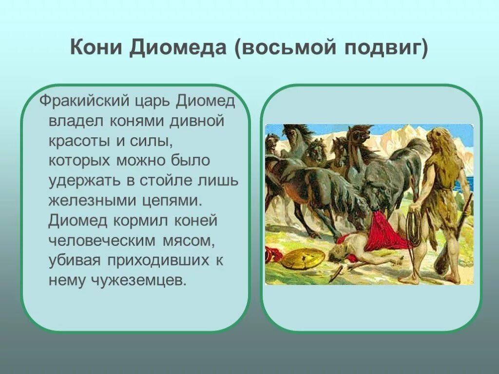 Как называется 8 глава