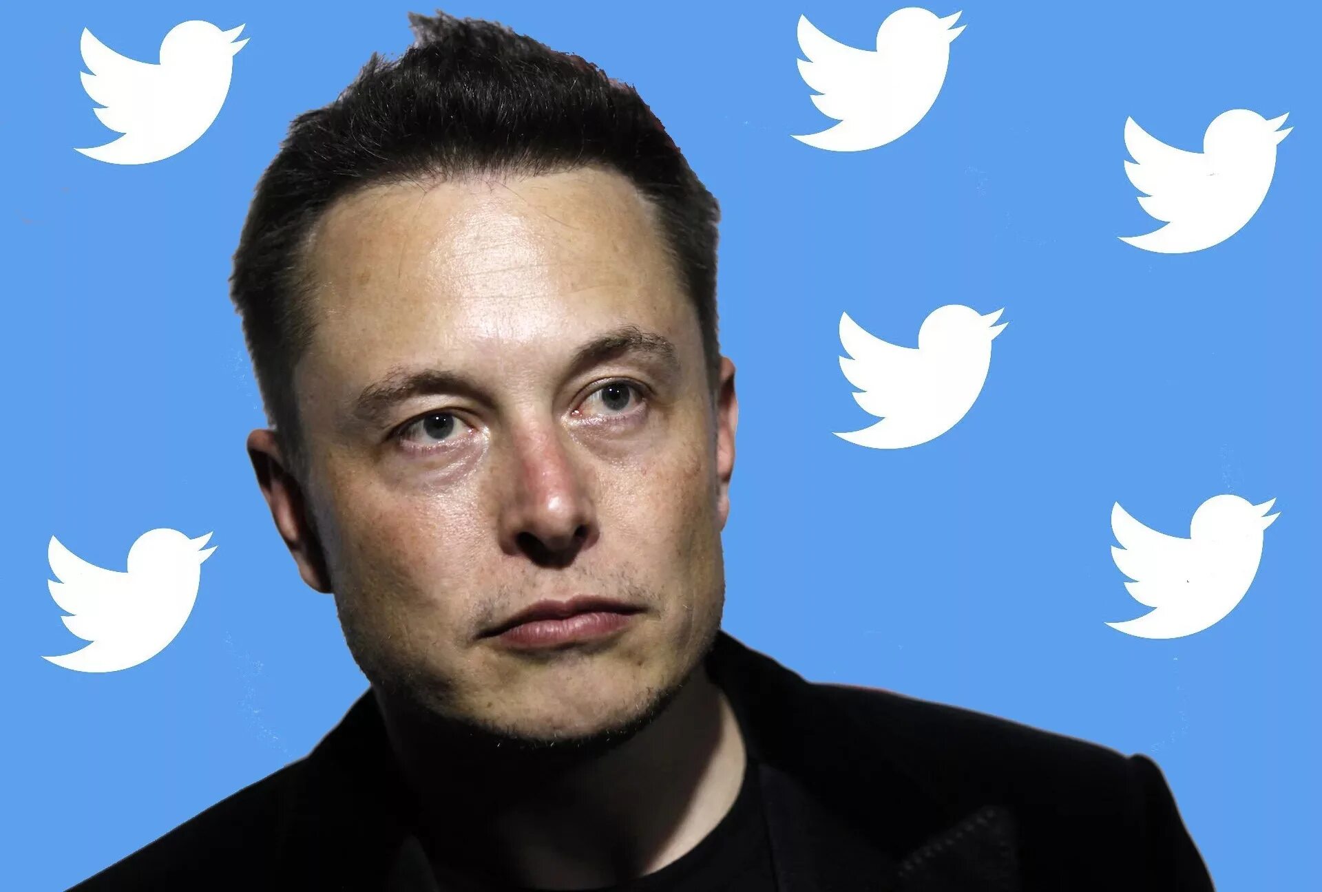 Илон Маск. Elon Musk twitter. Илон Маск Твиттер. Маска купил твиттер