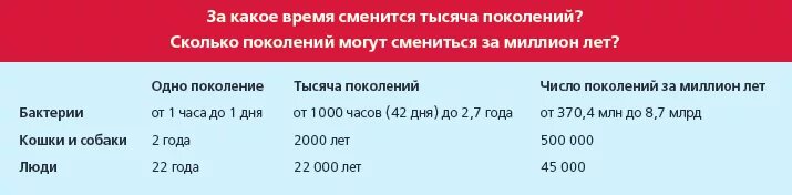 1 поколение сколько лет. Сколько длится одно поколение. Сколько поколений прошло. Поколение это сколько лет. Сколько лет длится одно поколение.