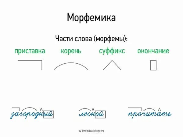 С помощью какой морфемы образовалось слово налево. Морфемика. морфемы слова. морфемика слова. морфемы в русском языке.