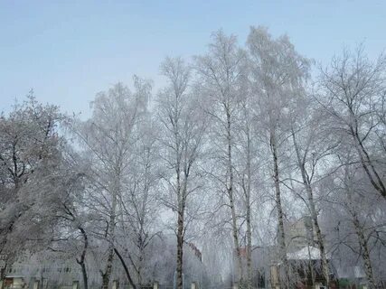 Когда придет зима в 2023