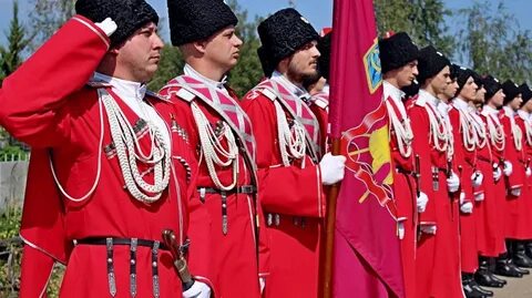 1 кубанские казаки