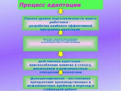 Адаптация зарубежного опыта