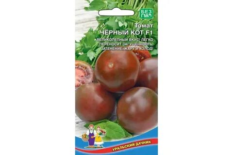 Томат черный кот отзывы
