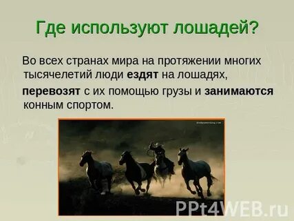Какое лакомство герой рассказа носил лошадям