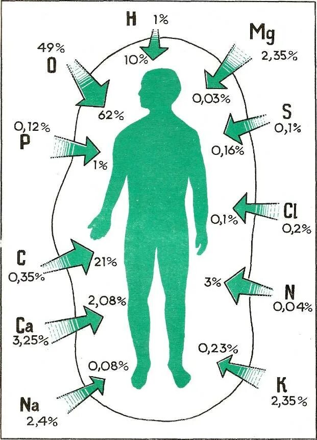 Их в организме человека. Металлы в организме человека. Химические элементы в организме человека. Тяжелые металлы в организме человека. Элементы металлы в организме.
