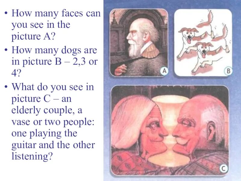 How many can you see. How many faces can you see. How many Dogs can you see. Готовая тема по английскому языку на тему картинка иллюзия. Face to many как пользоваться