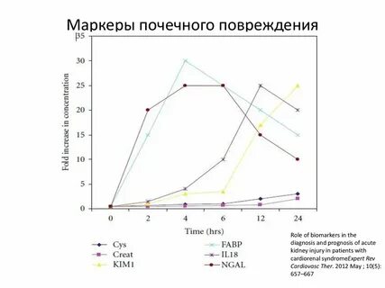 Почечный маркер