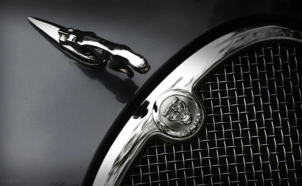 Jaguar Brand Logo Car Symbol With Name White Design British Automobile Vector Il