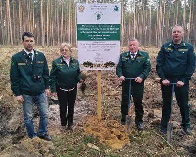 Гку рб управление лесничествами