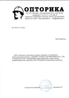 Опторика