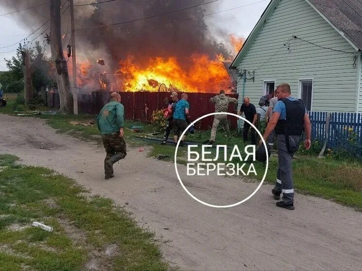 Новости в белой березке