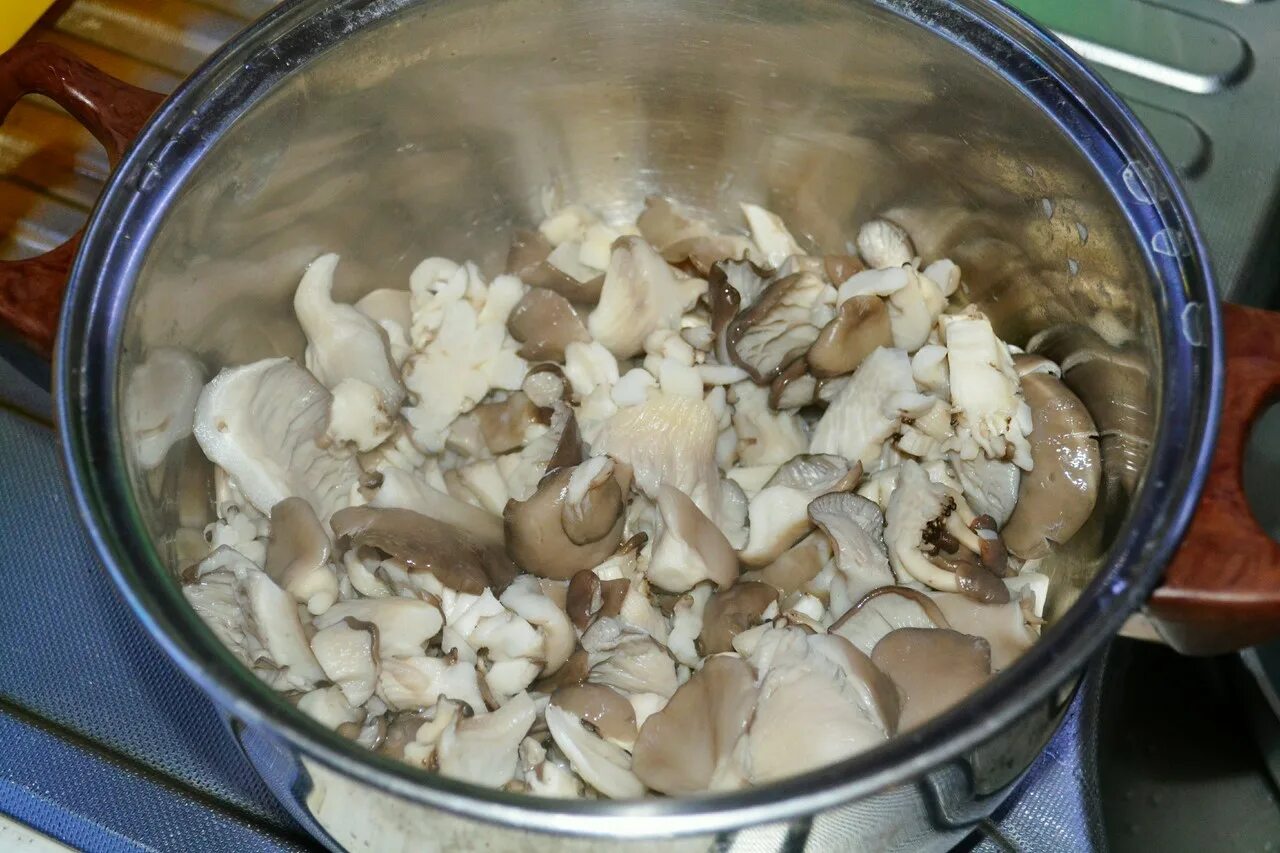 Сколько жарить вешенки на сковороде по времени. Вешенки грибы отварные. Грибы в кастрюле. Вешенки вареные. Заморозил отваренные грибы.