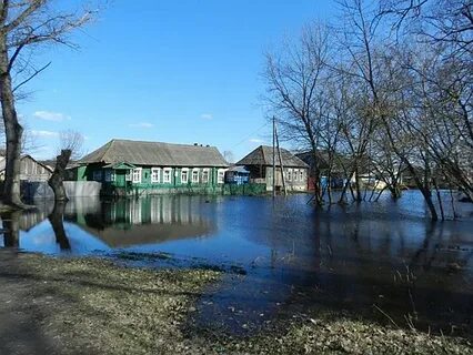Погода в крыловке