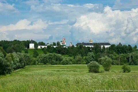 Население звенигорода