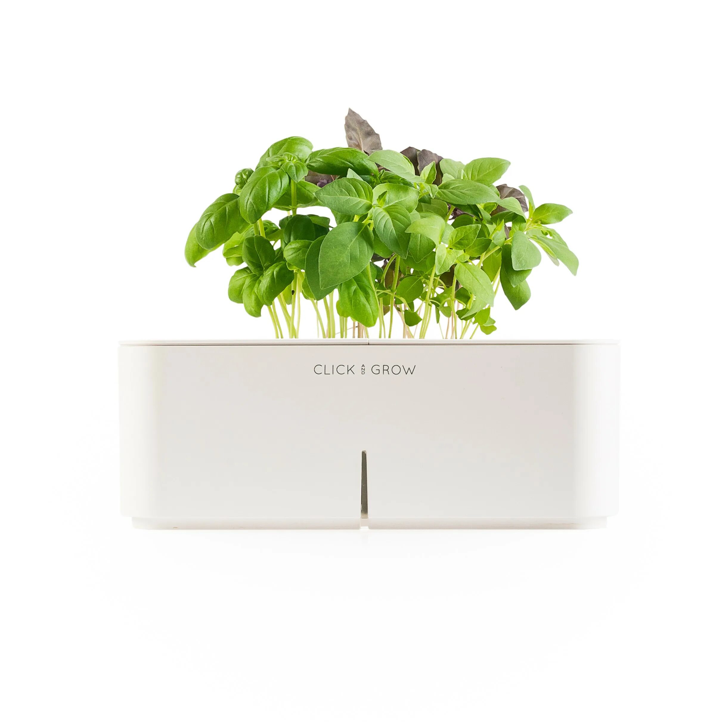 Smart garden click and grow семена. Click and grow купить. Click and grow устройство. Click and grow. Клик энд гроу.