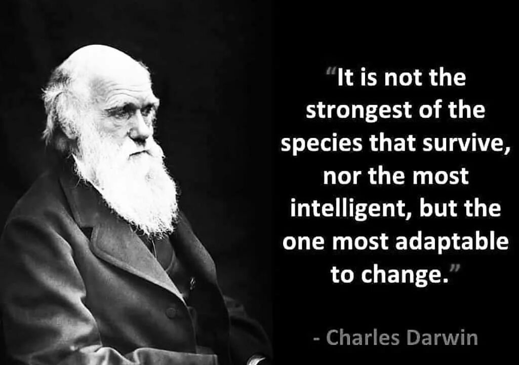The most Intelligent. It is not the strongest of species that Survives or the most Intelligent. Intelligent and strong. More Intelligent. You think you special