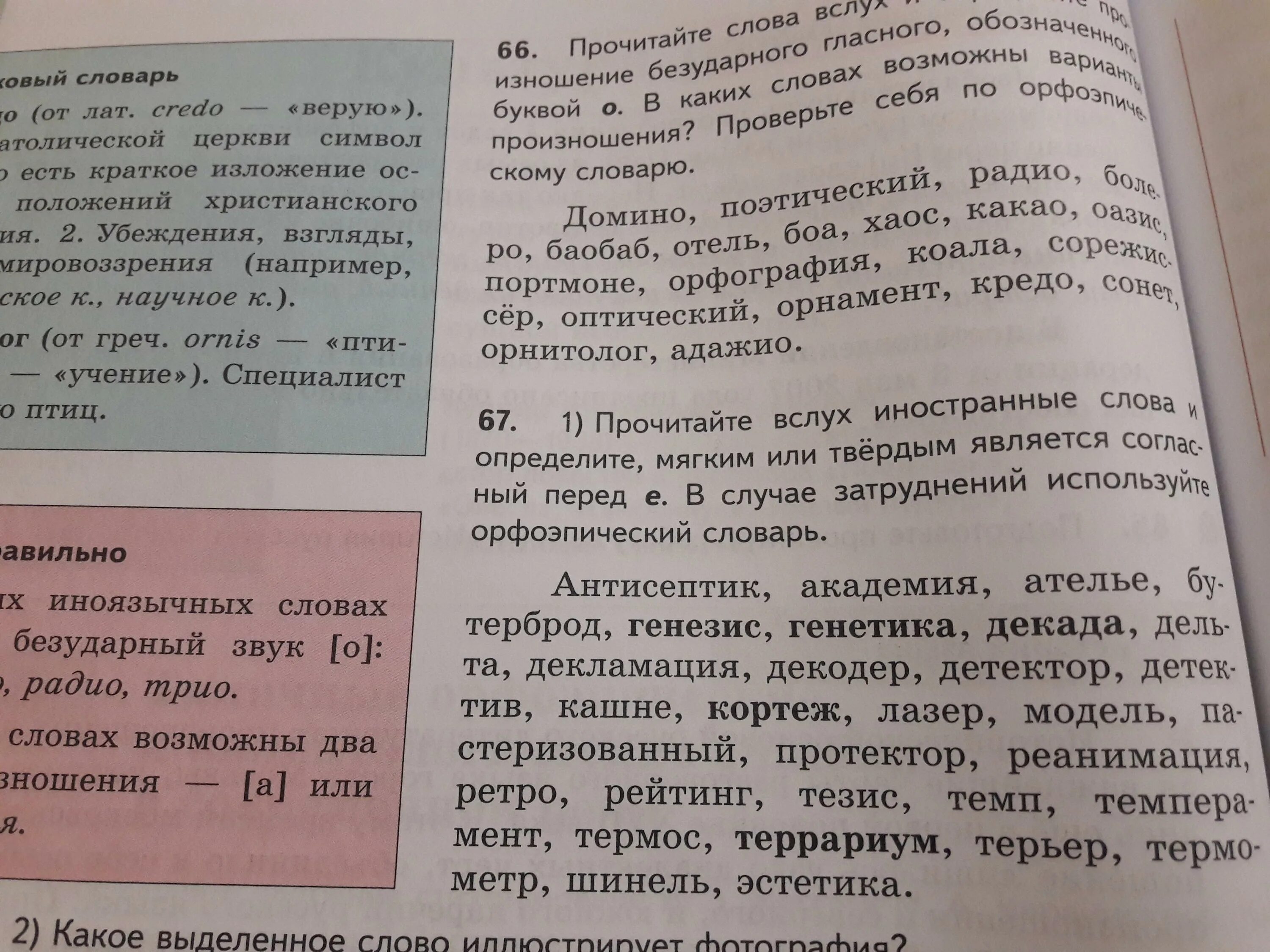 Прочитайте это вслух. Чтение вслух это какая речь. Читал вслух это какая речь. Академия твердый или мягкий согласный перед е.