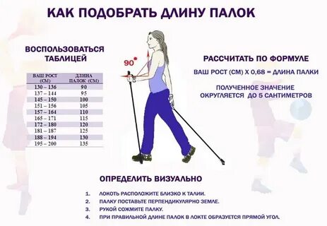 Как выбрать палки