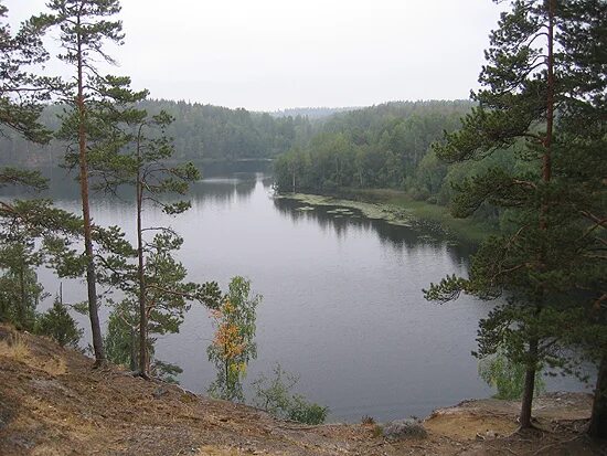 Погода в кузнечном ленинградской на неделю. Кузнечное Приозерский район. Посёлок кузнечное Ленинградская область. Поселок кузнечный Приозерск. Озеро кузнечное Приозерский район.