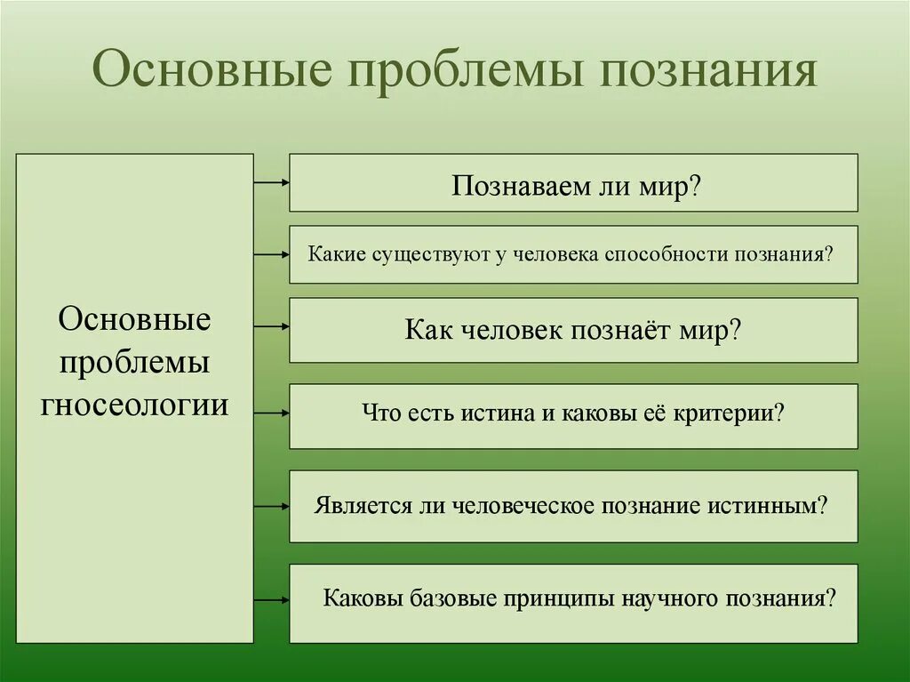 Познание общество вопросы. Основные проблемы познания. Проблема познания в философии. Основные вопросы теории познания в философии. Главные проблемы познания.