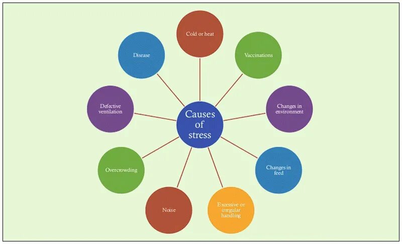 Causes of stress. Reasons of stress. Common causes of stress. Causes of stress картинки.