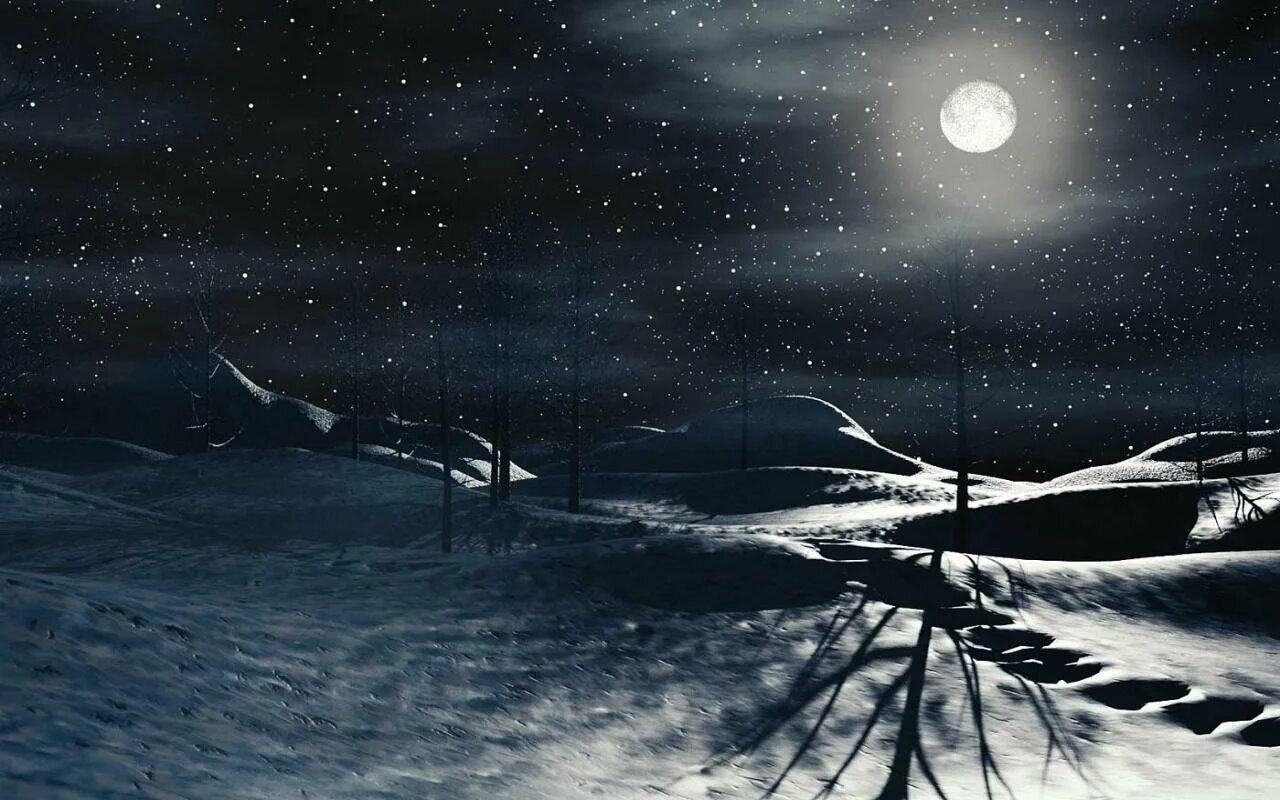 Зимний ночной пейзаж. Зимняя ночь. Зимний пейзаж ночью. Ночная вьюга.