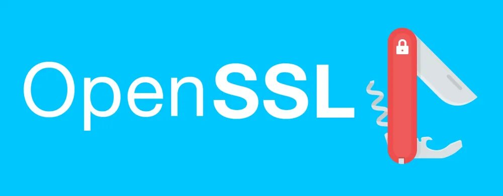 Openssl info. Openssl. openssl открыть. openssl logo. openssl png logo.