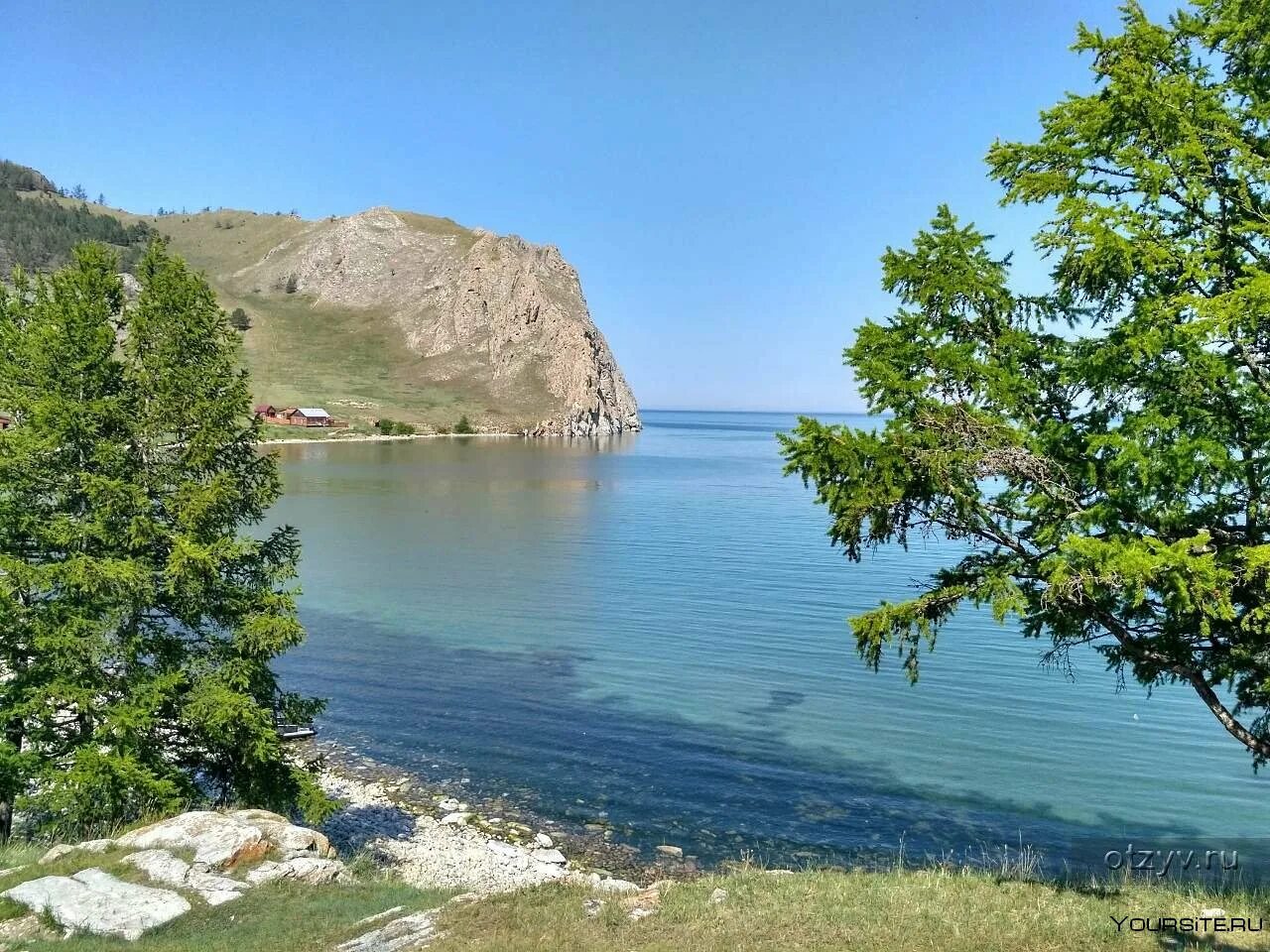 Листвянка в июне