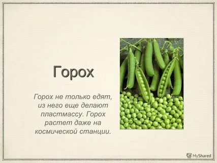 Про горох