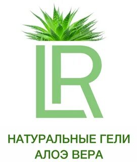 Компания верит