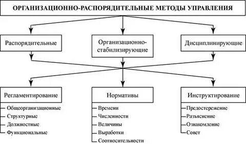 Виды административно организационного управления