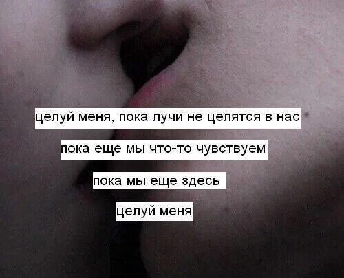 Песня поцелую твои губы