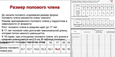 таблица возраста и размера члена