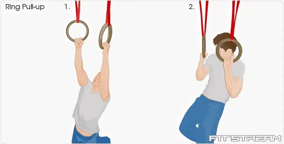 Pull him up. Ring Pull. Ring Pull ups. Ring Pull-ups muscle work. Ring up.