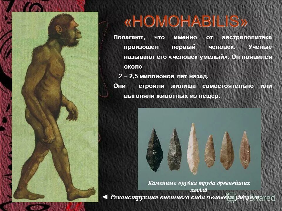 древний человек. почему учёные назвали каменный век. древние люди каменный век. семья хомо сапиенс. достижение людей эпохи мезолита.